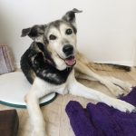 Klassische Physiotherapie