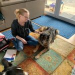 Laufschulungen & Balancetraining