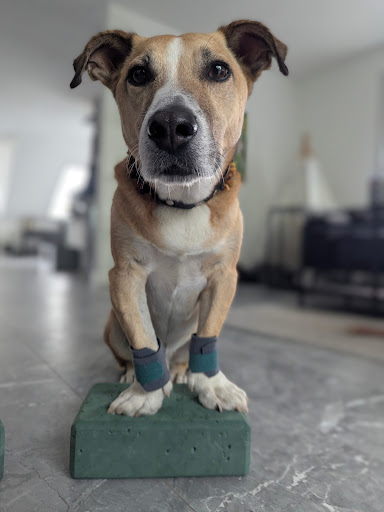 Photo from customer review